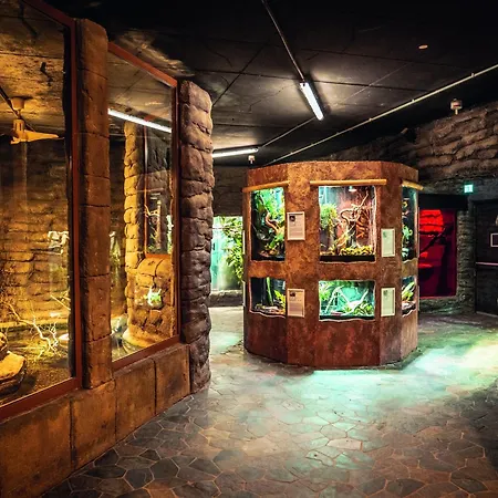 Appartamento Im Freizeitpark Weissenhaeuser