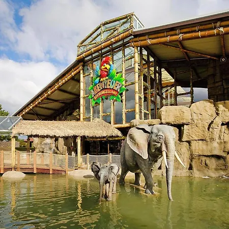 Appartamento Im Freizeitpark Weissenhaeuser Weissenhäuser Strand